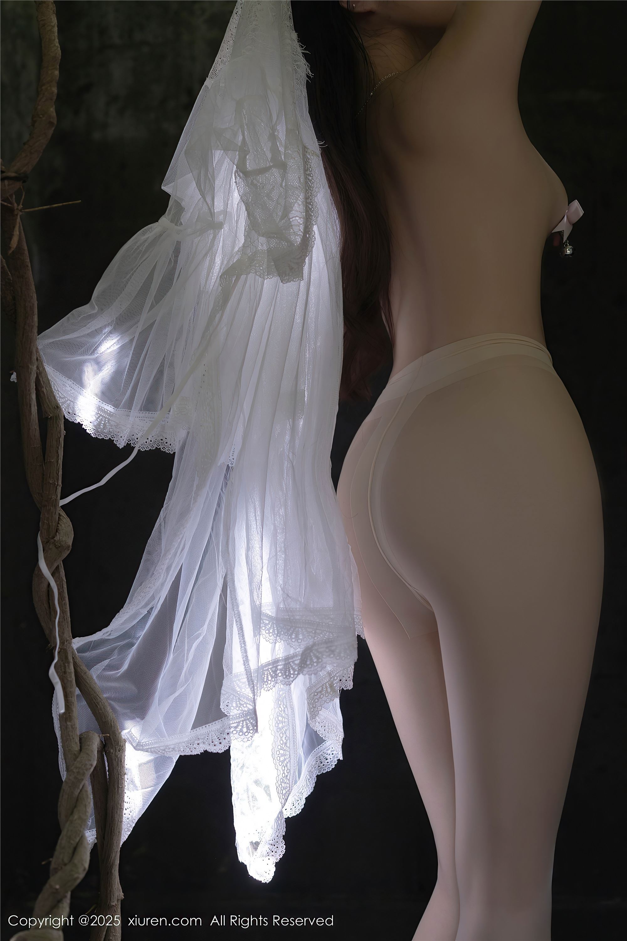 Xiuren秀人网 2025.04.18 NO.10173 鱼子酱Fish